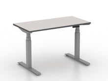 Load image into Gallery viewer, 24&quot;x48&quot; Height Adjustable Desk
