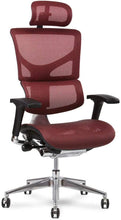 Load image into Gallery viewer, X2 K-Sport Mgmt Chair
