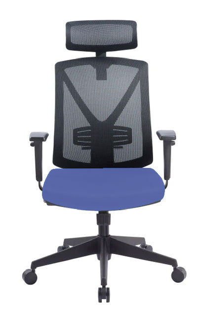 Blue Multi-Function Plex Chair