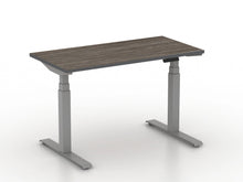 Load image into Gallery viewer, 24&quot;x48&quot; Height Adjustable Desk
