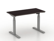 Load image into Gallery viewer, 60&quot;x30&quot; Height Adjustable Desk
